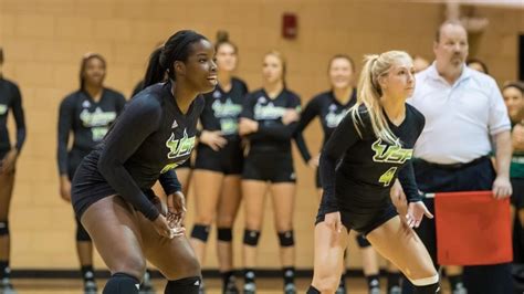 USF volleyball starts season undefeated – The Oracle