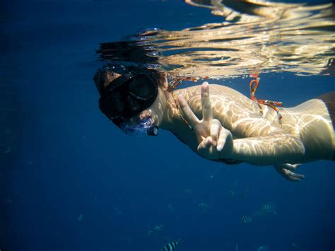 Snorkel Scuba And Free Diving Vol S Undwtr A Porn Pic