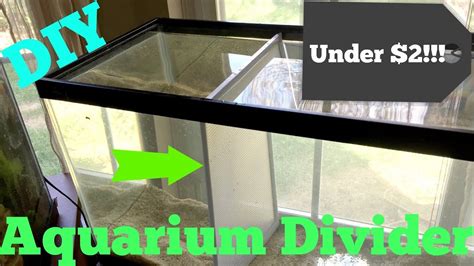 How To Make An Aquarium Divider YouTube