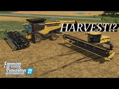 HARVEST Time SWATHING And HARVEST Edgewater Saskatchewan CHICKEN