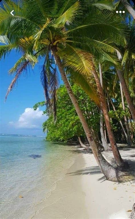 As 10 Praias Mais Bonitas De Angra Dos Reis Artofit