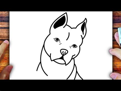 Desenho De Pitbull Fácil - Como Desenhar Uma Cara De Pitbull Facil Como Desenhar Um Cachorro Da