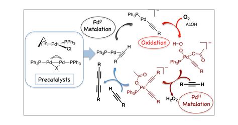 Palladium Catalyzed Aerobic Homocoupling Of Alkynes Full Mechanistic