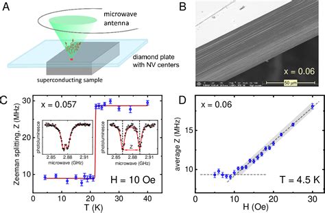 Figure 1 From Quantum Phase Transition Inside The Superconducting Dome