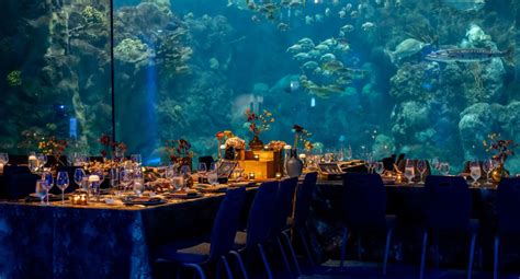 Host an Event at The Florida Aquarium