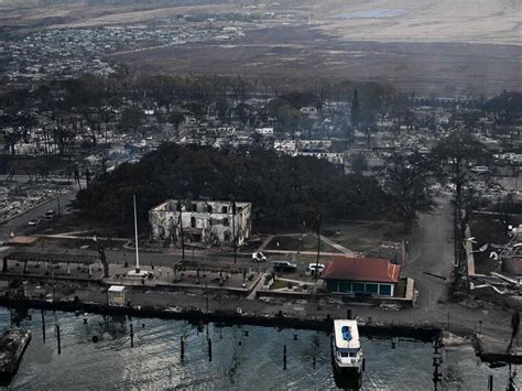 Maui fire: Historic Lahaina banyan tree appears to be scorched but ...