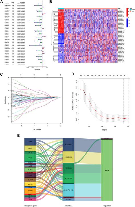 Frontiers A Novel Necroptosis Related Lncrna Signature Predicts The