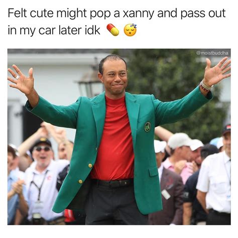 Tiger Woods Feeling Cute Might Pop A Xanny And Pass Out In My Car