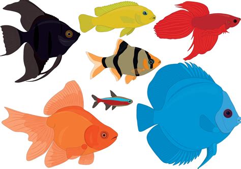 Aquarium colorful tropical fish collection vector illustration 3077400 ...