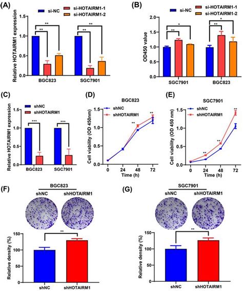 The Curcumin Analog Da0324 Inhibits The Proliferation Of Gastric Cancer