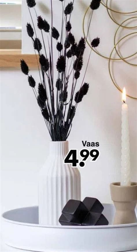 Vaas Aanbieding Bij Wibra