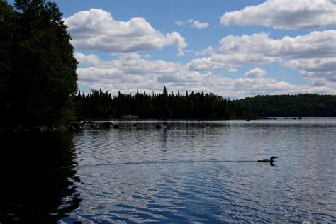 Is Mille Lacs Lake Open For Walleye Fishing Trickyfish