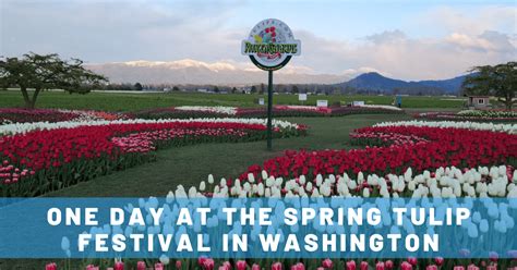 One Amazing Day At The Skagit Valley Tulip Festival In Washington State