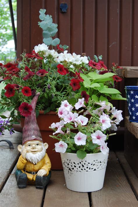 Containers open up a whole new world of gardening | TBR News Media