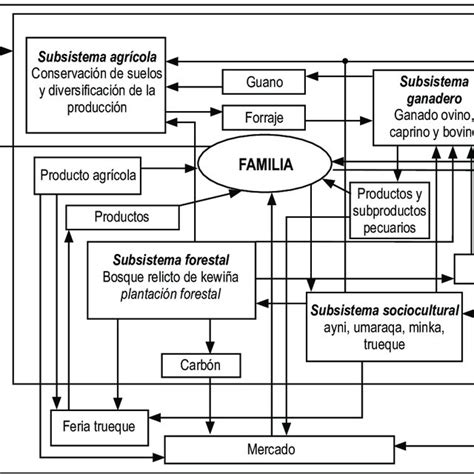 vista dEl diagrama dE caractErización dE un agroEcosistEma dE caFé