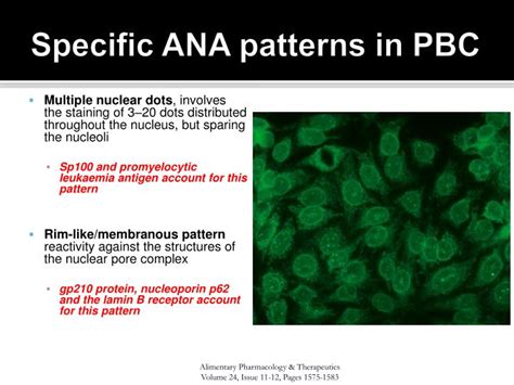 Ppt Autoimmune Liver Disease An Update On Treatment Powerpoint