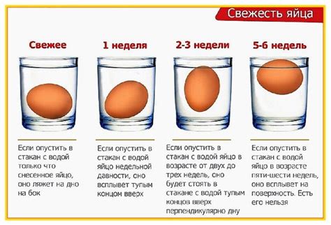Правила хранения яиц и сроки их содержания при различных температурных ...
