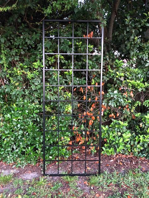 Large Multi Sizes Classic Metal Garden Outdoor Trellis Wall Etsy