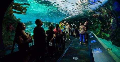 Ripley S Aquarium Of Canada In SpadinaFort York Toronto Canada