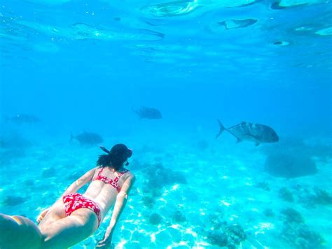 The Best Snorkelling In The Cook Islands Top 10 Places To Snorkel