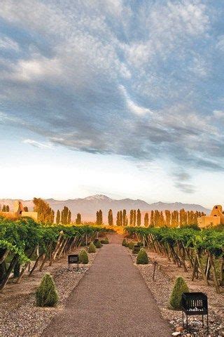 123 best Mendoza Argentina images on Pinterest | Argentina, Buenos ...