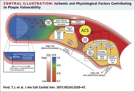 Physiological Predictors Of Acute Coronary Syndromes Emerging Insights