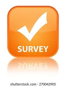 Survey Validate Icon Orange Square Button Stock Illustration