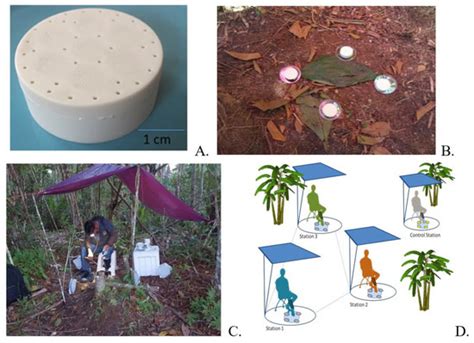 TropicalMed Free Full Text Field Evaluation Of Novel Spatial