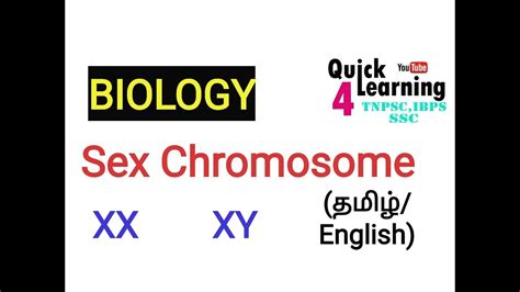 Sex Chromosome In Tamil Biology Tnpsc Ssc All Competitive Exam