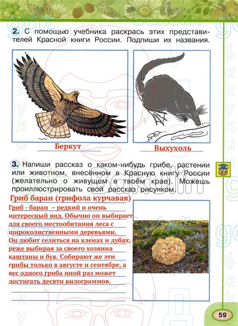 ГДЗ рабочая тетрадь по окружающему миру 2 класс Плешаков, Новицкая ...