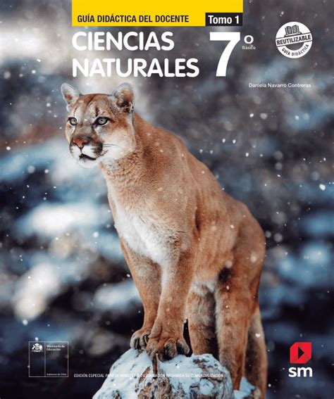 Planes Y Programas Mineduc Ciencias Naturales