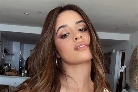 Camila Cabello Perfectly Models A Brownie Batter Brunette Hair Colour