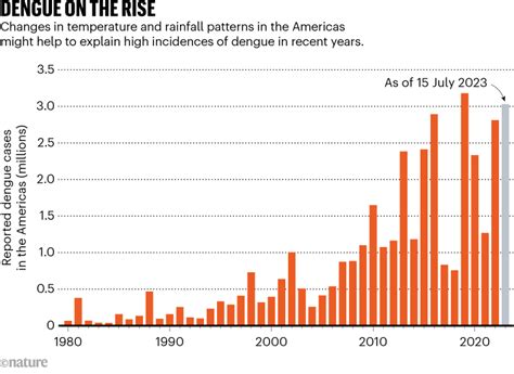 Dengue Is Breaking Records In The Americas Whats Behind The Surge