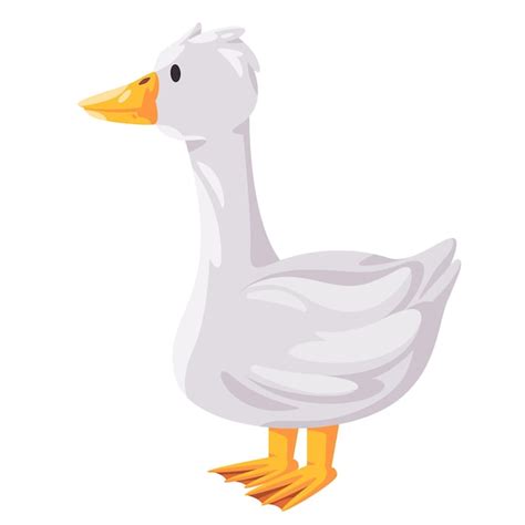 Premium Vector Goose White Swan Standing Vector Drawing Illustration