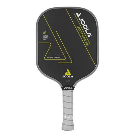 Vợt Pickleball Có Mấy Loại Một Số Thương Hiệu Pickleball Uy Tín