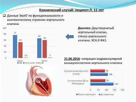 Вторичный инфекционный эндокардит у пациента детского возраста ...