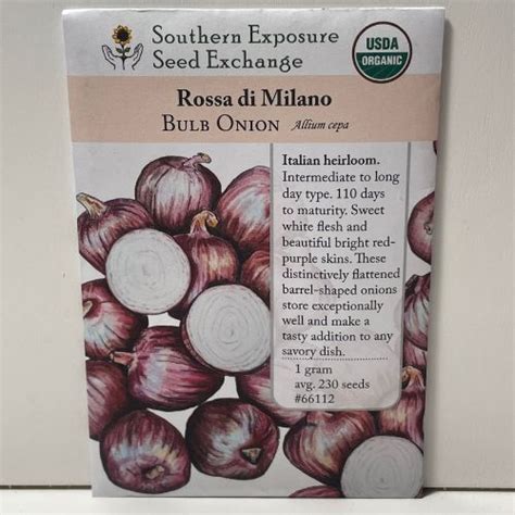 Rossa Di Milano Onion Long Day Heirloom Organic Firefly Farm And