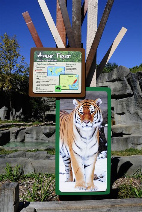 Exhibit Signage Professional Graphics Inc Brookfield Zoo Animal