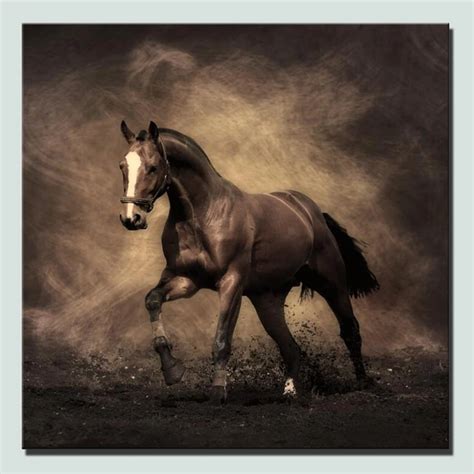 HD Print Horse Posters Classical Style Variety Color Large Size Horses ...