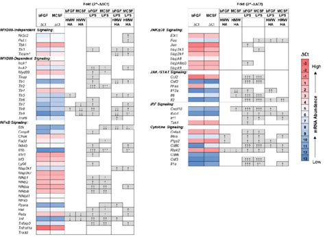 Heatmap Of Gene Expression In The Tlr Signaling Pathway In Flsc Download Scientific Diagram