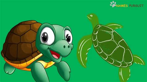 Funny Turtle Names 120 Hilarious Ideas