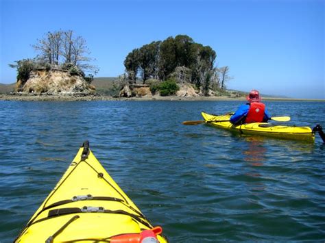 crazy little thing called blog: Kayaking in Tomales Bay