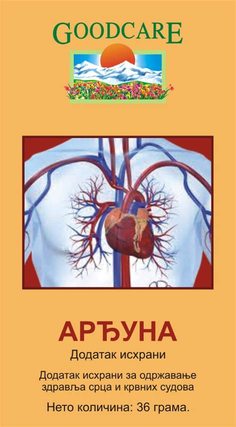 Ardjuna kapsule - Ajur-veda.rs, LilaMa doo