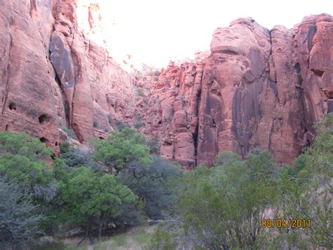 Red Cliffs Desert Reserve » Red Sandstone Cliffs near end of trail