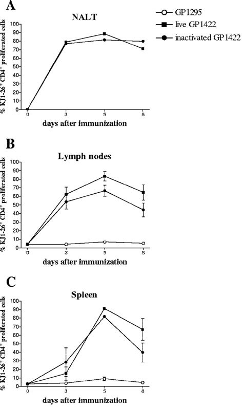 Time Course Analysis Of The Clonal Expansion Of KJ1 26 CD4 T Cells