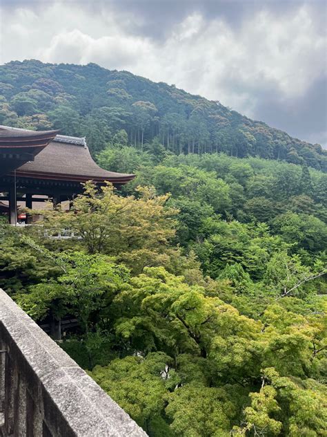 Exploring A Hidden Gem Underneath Kiyomizu Dera Temple Sjmc Japan