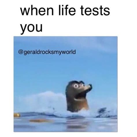 Finding dory gerald Memes