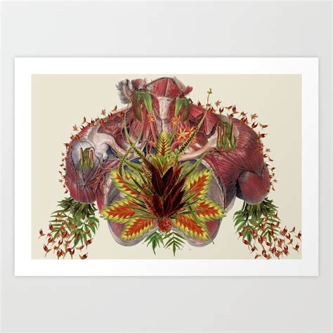 Grow Anatomical Collage Art By Bedelgeuse Art Print By Bedelgeuse