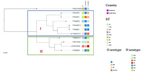 Comparative Genome Analysis Based On The Core Genome Mlst Of Study S