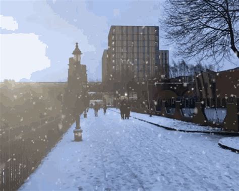 Winter Snow GIF - Winter Snow Snowing - Discover & Share GIFs